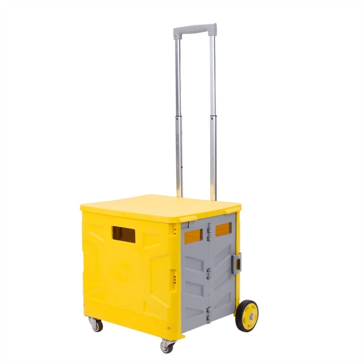 Plastic Organizer Crate Shopping Trolley